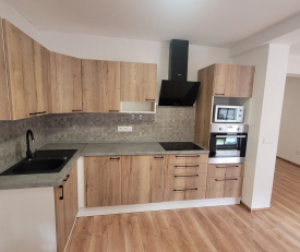 Pronájem bytové jednotky 1kk